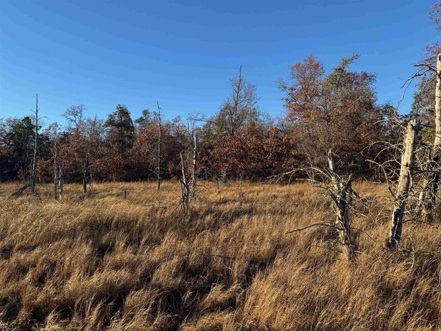 Lot 2 Sandy Shores Dr, Minong, WI 54859