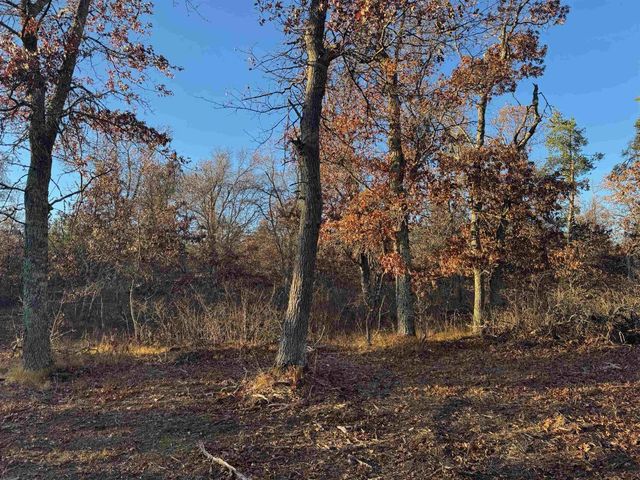 Lot 2 Sandy Shores Dr, Minong, WI 54859