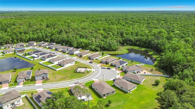 525 VISTA VILLAGES BLVD, Davenport, FL 33896