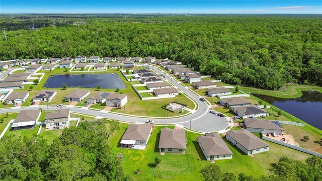 525 VISTA VILLAGES BLVD, Davenport, FL 33896