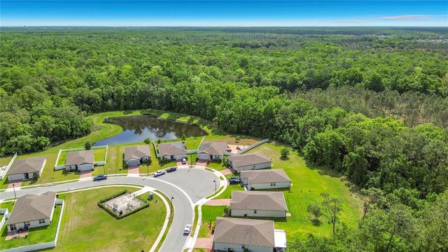 525 VISTA VILLAGES BLVD, Davenport, FL 33896