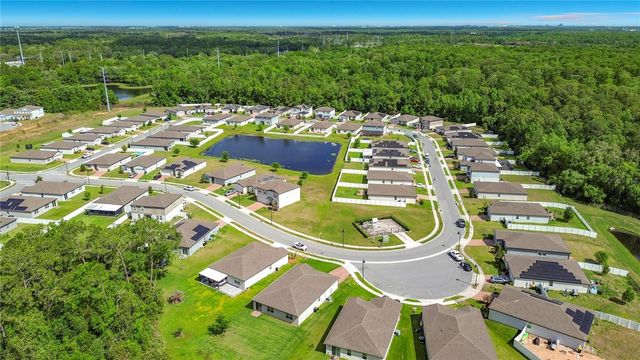 525 VISTA VILLAGES BLVD, Davenport, FL 33896