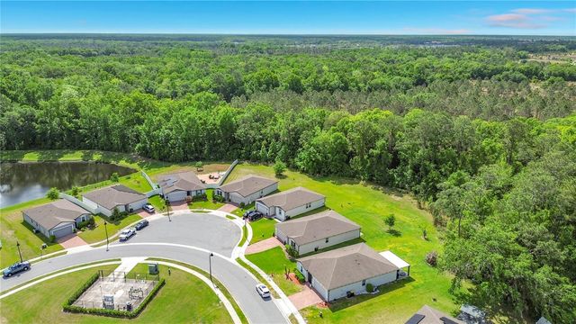 525 VISTA VILLAGES BLVD, Davenport, FL 33896