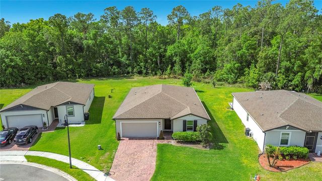 525 VISTA VILLAGES BLVD, Davenport, FL 33896