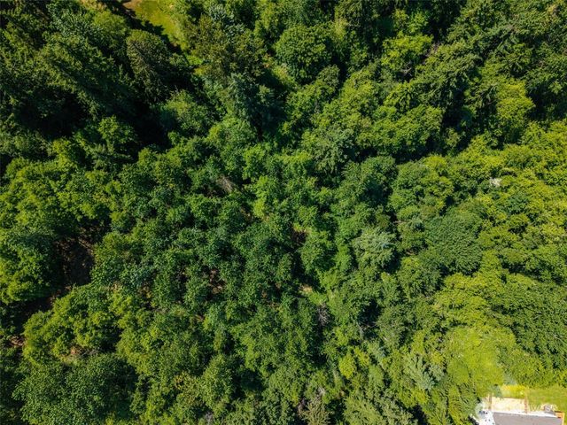0 236th Avenue NE, Woodinville, WA 98077