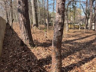 1505 Barksdale Court NW, Kennesaw, GA 30152