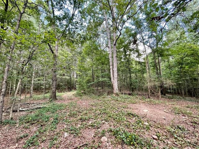 393 Harmony Gates Drive, Commerce, GA 30530