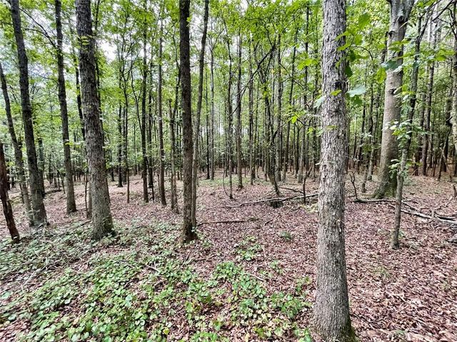 393 Harmony Gates Drive, Commerce, GA 30530