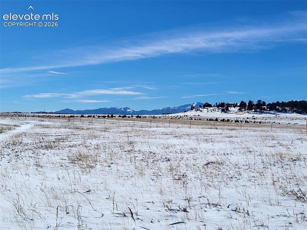 19250 Mariah Trail, Colorado Springs, CO 80908 — photo 5