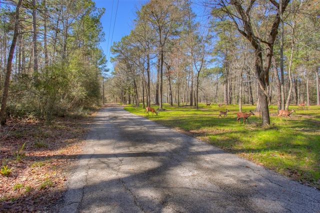 83 Dahlia Road, Huntsville, TX 77320