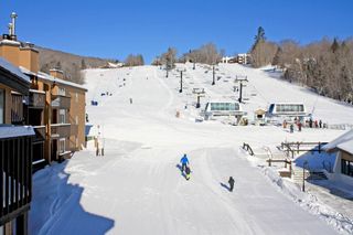 350 Mountain Road B303, Ludlow, VT 05149