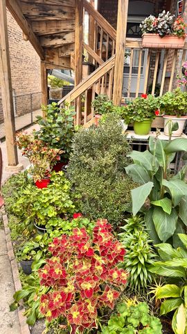 4441 N Central Park Avenue 2, Chicago, IL 60630