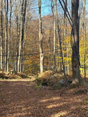 1928 VT. Route 131, Weathersfield, VT 05156