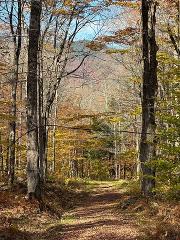 1928 VT. Route 131, Weathersfield, VT 05156