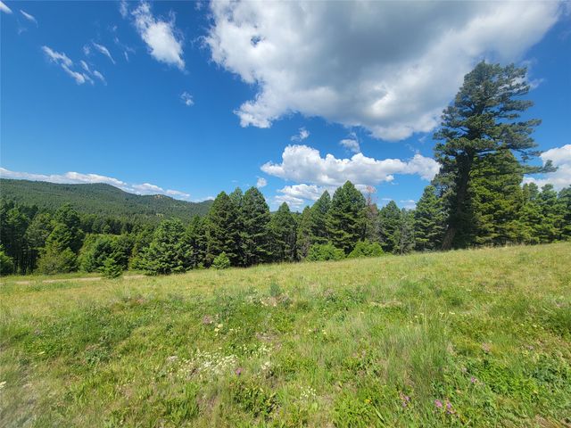 Lot 83 Hoover Creek Road, Helmville, MT 59843