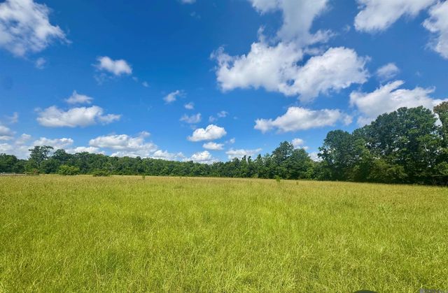 TBD Aydell Ln, French Settlement, LA 70733
