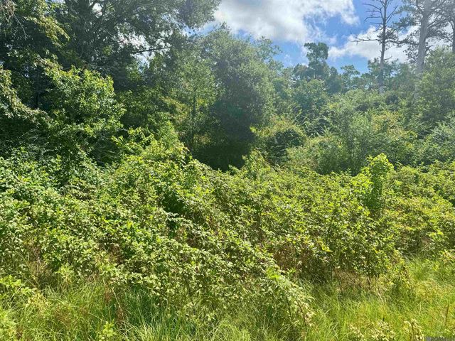 TBD Aydell Ln, French Settlement, LA 70733