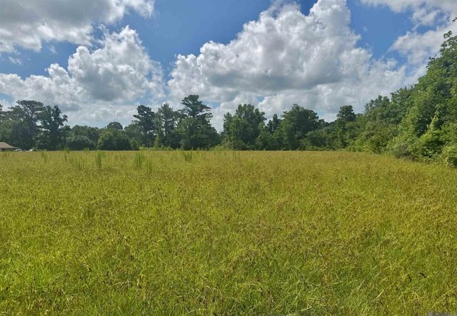 TBD Aydell Ln, French Settlement, LA 70733