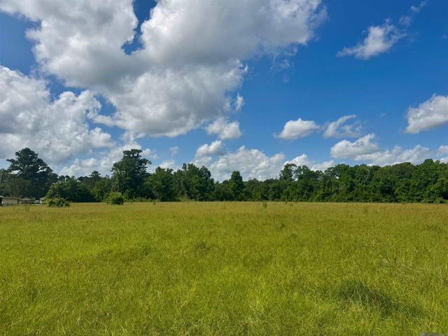 TBD Aydell Ln, French Settlement, LA 70733