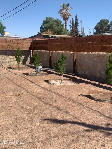 10228 Hatchet Road, Socorro, TX 79927