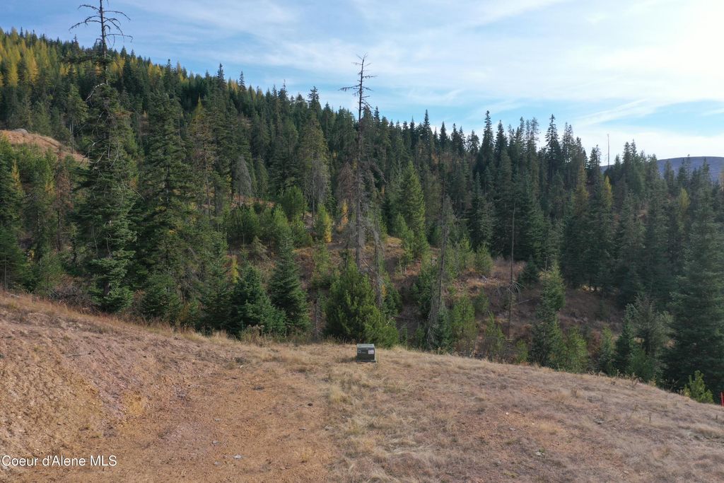 NKA Carpenter Creek Rd, Fernwood, ID 83830 photo 3