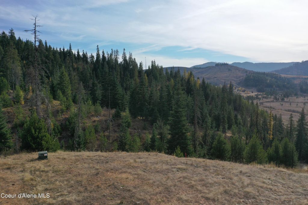 NKA Carpenter Creek Rd, Fernwood, ID 83830 photo 4