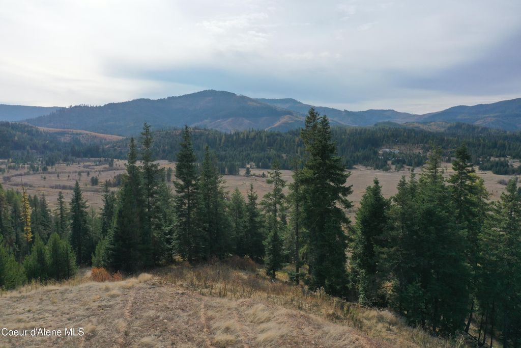 NKA Carpenter Creek Rd, Fernwood, ID 83830 photo 5