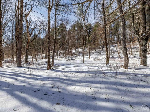 1769 Route 51, Hannacroix, NY 12087