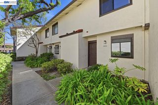 6369 Joaquin Murieta Ave D, Newark, CA 94560