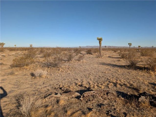 0 Wilson Ranch Rd, Phelan, CA 92371