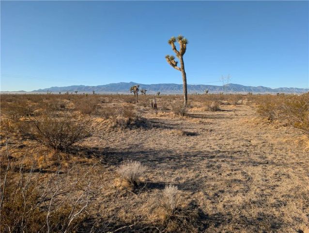 0 Wilson Ranch Rd, Phelan, CA 92371