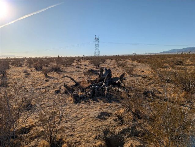 0 Wilson Ranch Rd, Phelan, CA 92371