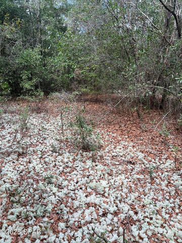 Lot 23 Geraldine Circle, Chipley, FL 32428