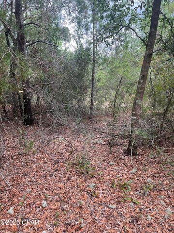 Lot 23 Geraldine Circle, Chipley, FL 32428