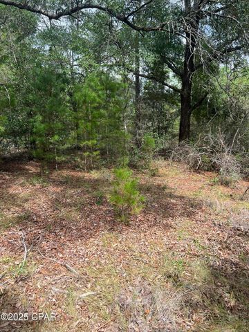 Lot 23 Geraldine Circle, Chipley, FL 32428