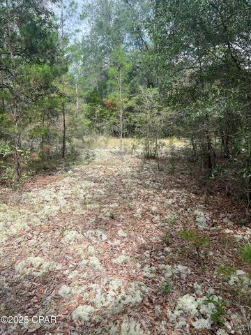 Lot 23 Geraldine Circle, Chipley, FL 32428