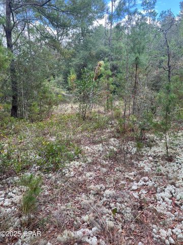 Lot 23 Geraldine Circle, Chipley, FL 32428