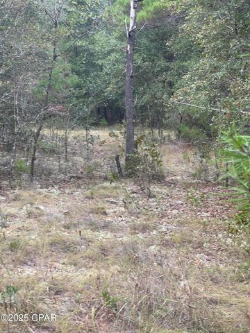 Lot 23 Geraldine Circle, Chipley, FL 32428