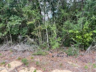 Lot 23 Geraldine Circle, Chipley, FL 32428
