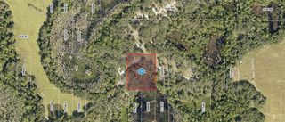 ROYS ROAD, Clermont, FL 34711