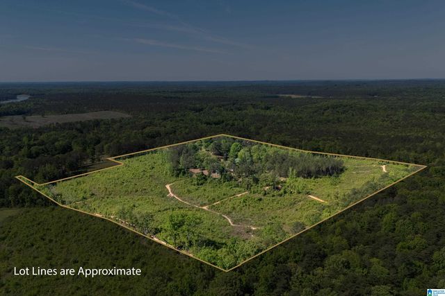 855 HERMITAGE LANE, Woodstock, AL 35188