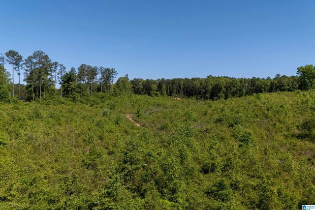 855 HERMITAGE LANE, Woodstock, AL 35188