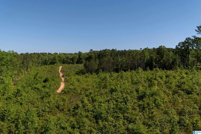 855 HERMITAGE LANE, Woodstock, AL 35188