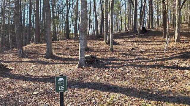 135 Red Oak Trail, Ellijay, GA 30540