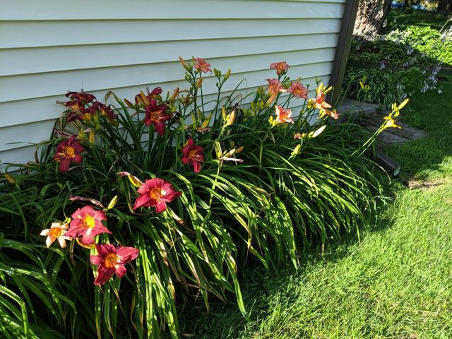 8381 Knollwood Drive, Mounds View, MN 55112