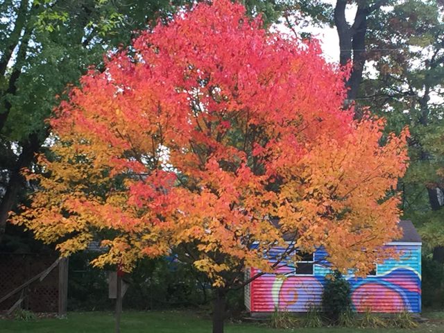 8381 Knollwood Drive, Mounds View, MN 55112