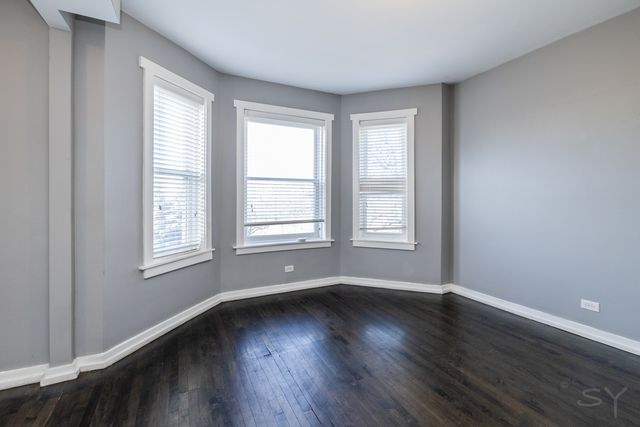 1301 S Christiana Avenue, Chicago, IL 60623