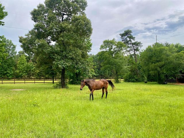 114 Leah Drive, Montgomery, TX 77316