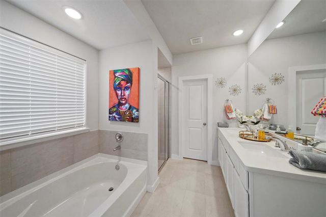 169 Emory Birch Drive, Montgomery, TX 77316