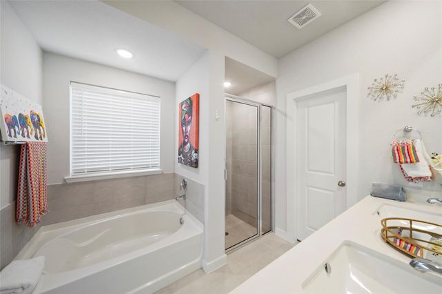 169 Emory Birch Drive, Montgomery, TX 77316